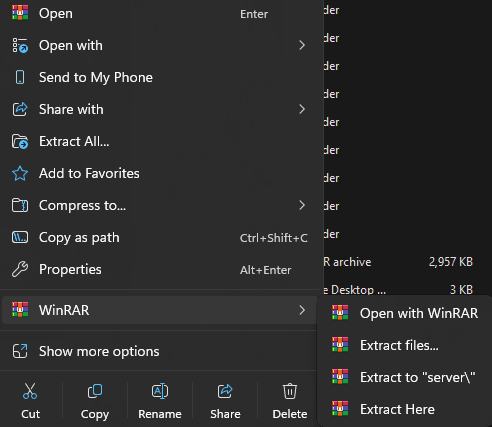Extracting the server files